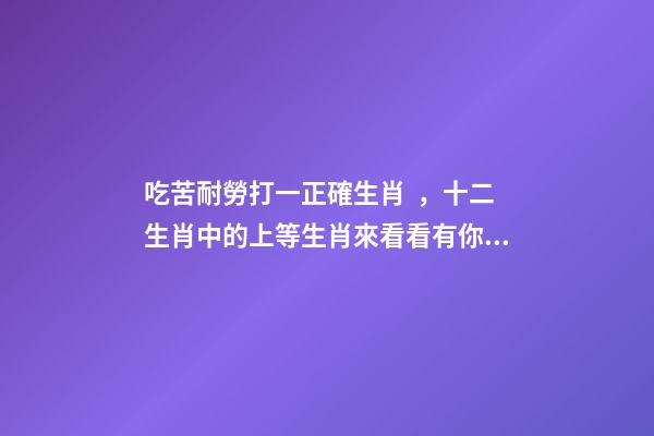 吃苦耐勞打一正確生肖，十二生肖中的上等生肖來看看有你嗎